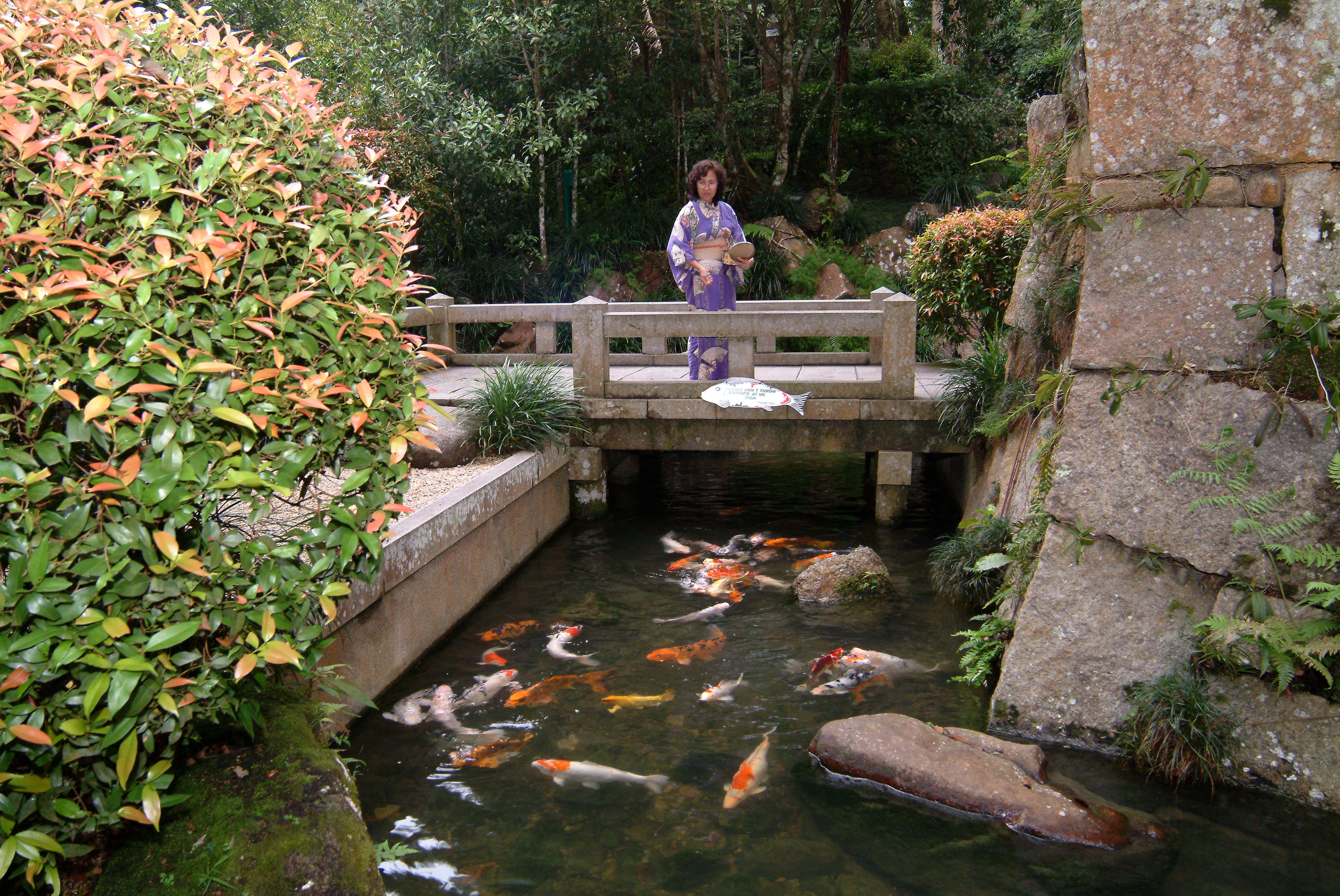 Japanese Tea House with Landscaping Works